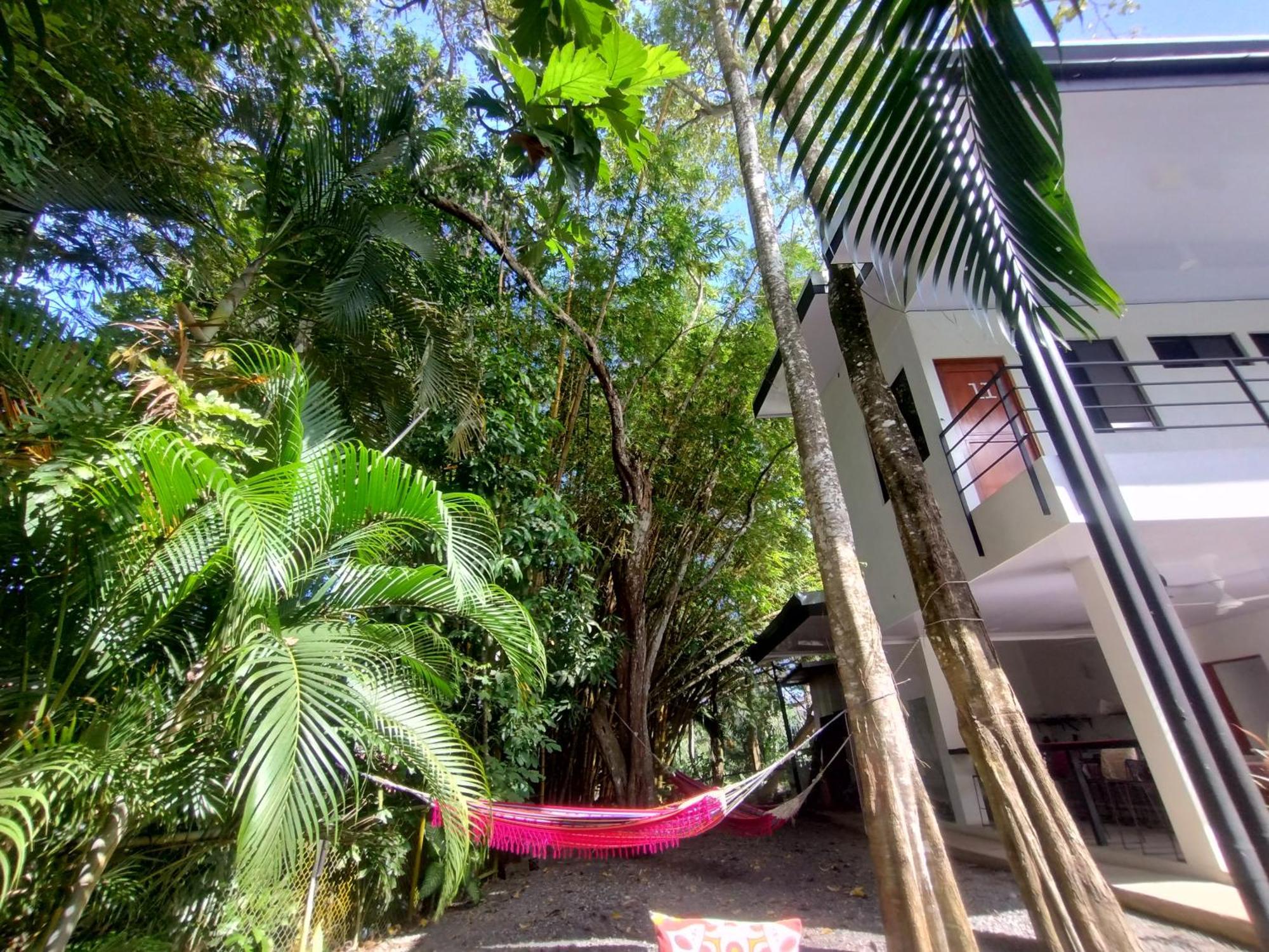 יקו Casajungla Hostel מראה חיצוני תמונה